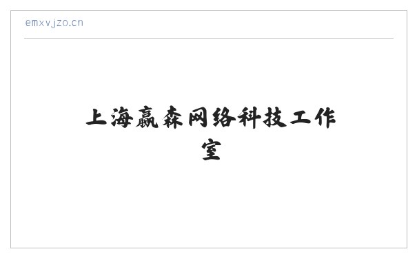 上海赢森网络科技工作室 缩略图